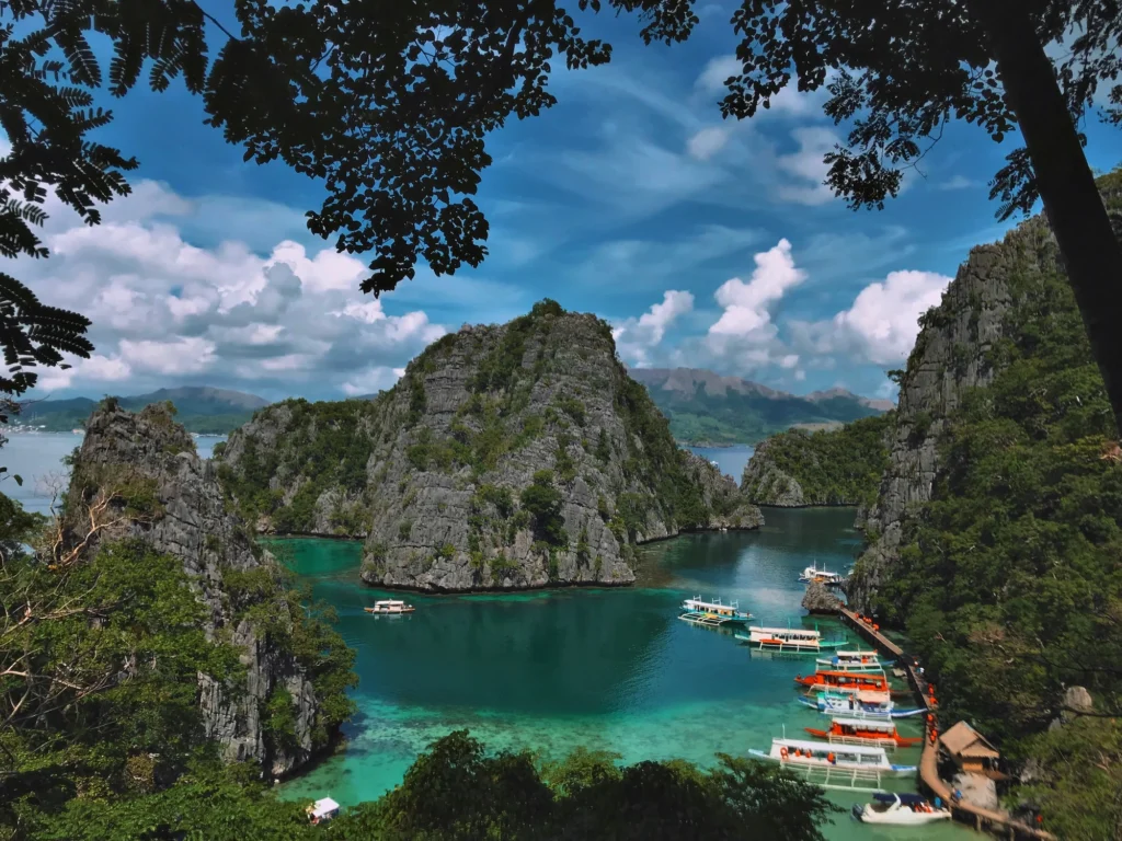 jess castillo tsLbp5y3gac unsplash