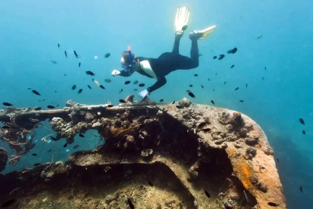 Coron Reefs & Wrecks Tour