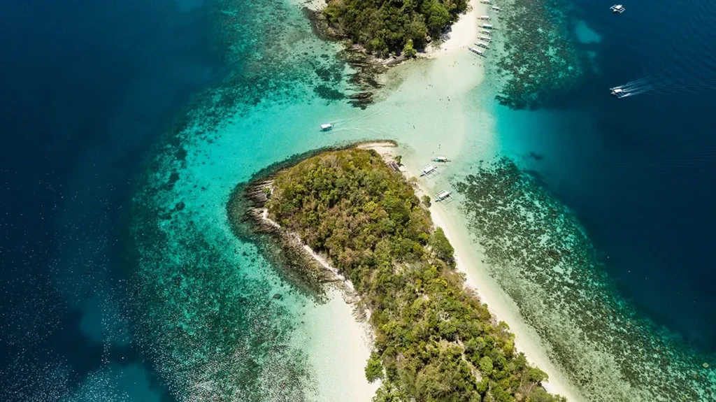 Port Barton Island Hopping + Turtle Combo Tour (BEST SELLER)